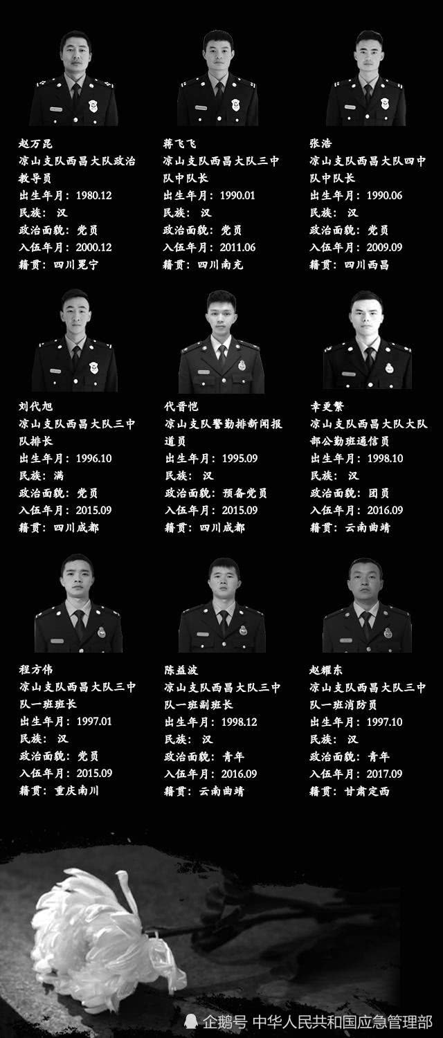 &#66;&#79;&#66;&#21322;&#23707;